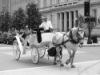 Gay Raleigh main image