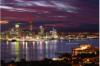 Gay Auckland image