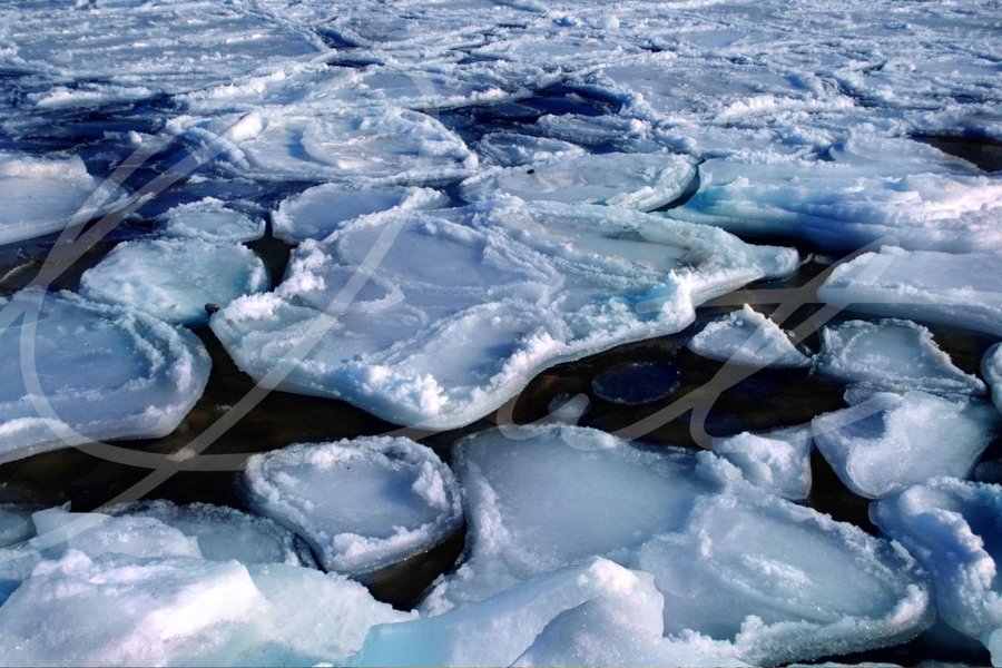 Journey to Antarctica
