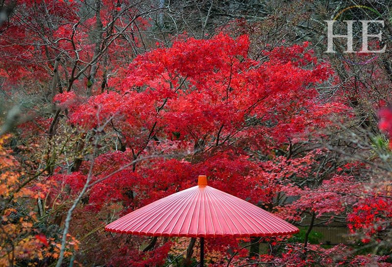 Japan Ningyo Tour