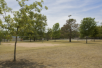 Brentwood Community Park thumb