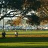 Rushcutter's Bay Park thumb
