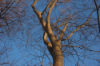 Marott Park thumb