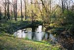 Cool Creek Park thumb