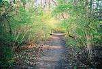 Cool Creek Park thumb