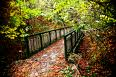 Cool Creek Park thumb