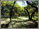 Olmos Park thumb