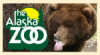 Alaska Zoo thumb