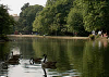 Clarence Park-Thornes Park thumb