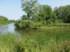 Busse Woods Forest Preserve thumb