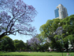 Bosques de Palermo thumb