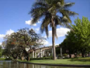 Bosques de Palermo thumb