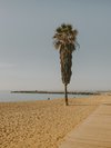 Platja de la Mar Bella, photo 1 of 1