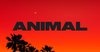ANIMAL, photo 1 of 1