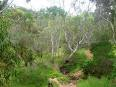 Shepards Hill Recreation Park thumb